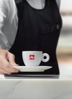 Discover the business offers