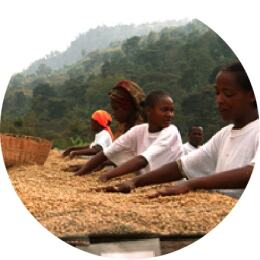 ΞΗΡΗ ΕΠΕΞΕΡΓΑΣΙΑ