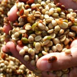 ΥΓΡΗ ΕΠΕΞΕΡΓΑΣΙΑ