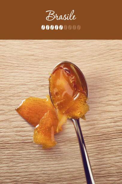 WHAT ARE THE TASTING NOTES?