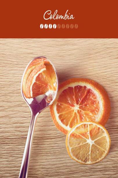 WHAT ARE THE TASTING NOTES?