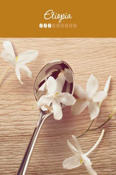 WHAT ARE THE TASTING NOTES?