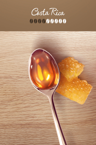 WHAT ARE THE TASTING NOTES?