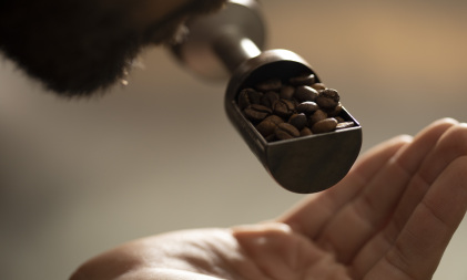 Barista Skills Seminar - Foundation level