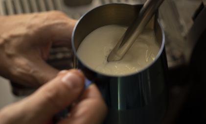 Barista Skills Seminar - Professional level