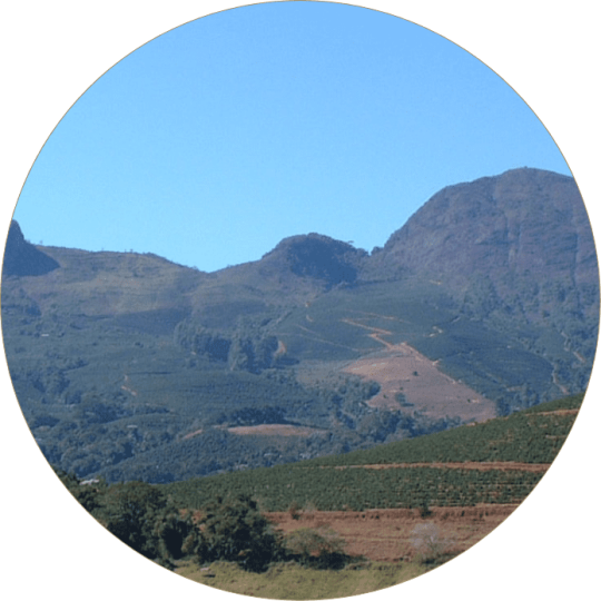 ΠΡΟΩΘΟΥΜΕ ΤΗΝ ΠΡΟΣΤΑΣΙΑ ΤΗΣ ΒΙΟΠΟΙΚΙΛΟΤΗΤΑΣ