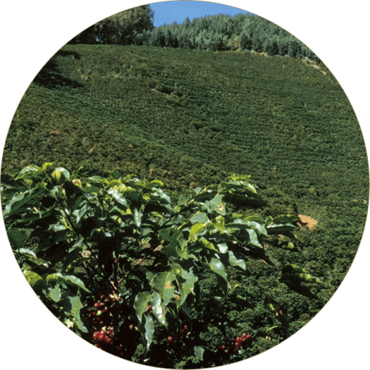 ΑΝΑΔΑΣΩΝΟΥΜΕ ΤΗΝ ΚΟΛΟΜΒΙΑ