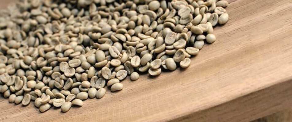 1982: ILLY QUALITY IN EACH SINGLE BEAN